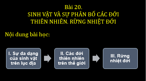 Giáo án điện tử Địa Lí 6 Chân trời sáng tạo Bài 20: Sinh vật và sự phân bố các đới thiên nhiên. Rừng nhiệt đới | PPT Địa Lí 6