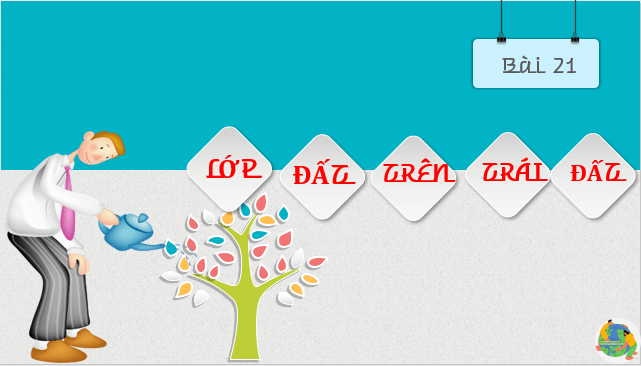 Giáo án điện tử Địa Lí 6 Cánh diều Bài 21: Lớp đất trên Trái Đất | PPT Địa Lí 6