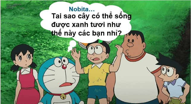 Giáo án điện tử Địa Lí 6 Cánh diều Bài 21: Lớp đất trên Trái Đất | PPT Địa Lí 6