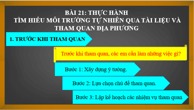 Giáo án điện tử Địa Lí 6 Chân trời sáng tạo Bài 21: Thực hành tìm hiểu môi trường tự nhiên qua tài liệu và tham quan địa phương | PPT Địa Lí 6