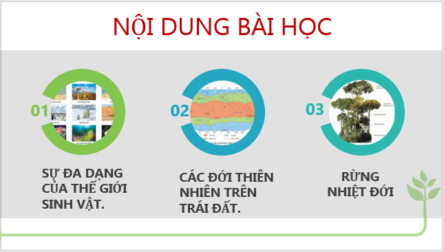 Giáo án điện tử Địa Lí 6 Cánh diều Bài 22: Sự đa dạng của thế giới sinh vật. Các đới thiên nhiên trên Trái Đất. Rừng nhiệt đới | PPT Địa Lí 6