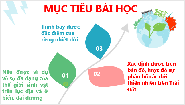 Giáo án điện tử Địa Lí 6 Cánh diều Bài 22: Sự đa dạng của thế giới sinh vật. Các đới thiên nhiên trên Trái Đất. Rừng nhiệt đới | PPT Địa Lí 6