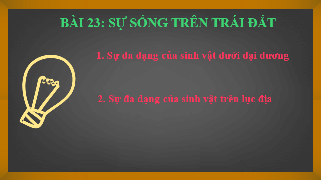 Giáo án điện tử Địa Lí 6 Kết nối tri thức Bài 23: Sự sống trên Trái Đất | PPT Địa Lí 6