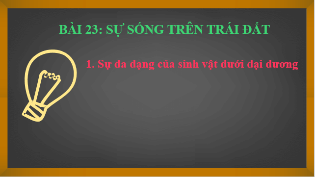 Giáo án điện tử Địa Lí 6 Kết nối tri thức Bài 23: Sự sống trên Trái Đất | PPT Địa Lí 6