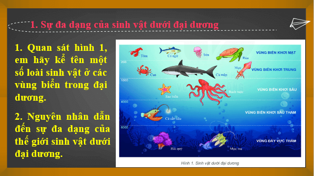 Giáo án điện tử Địa Lí 6 Kết nối tri thức Bài 23: Sự sống trên Trái Đất | PPT Địa Lí 6