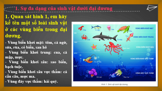 Giáo án điện tử Địa Lí 6 Kết nối tri thức Bài 23: Sự sống trên Trái Đất | PPT Địa Lí 6