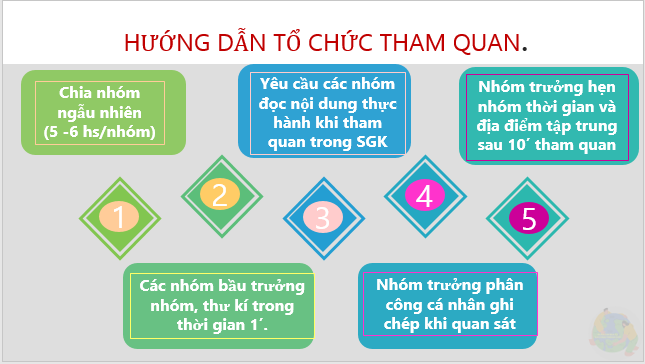 Giáo án điện tử Địa Lí 6 Cánh diều Bài 23: Thực hành: Tìm hiểu lớp phủ thực vật ở địa phương | PPT Địa Lí 6