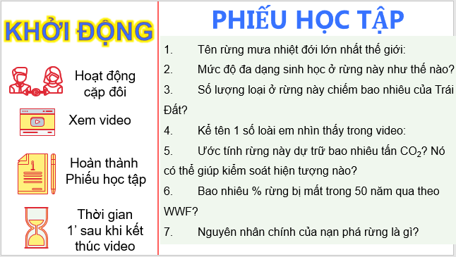 Giáo án điện tử Địa Lí 6 Kết nối tri thức Bài 24: Rừng nhiệt đới | PPT Địa Lí 6