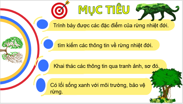 Giáo án điện tử Địa Lí 6 Kết nối tri thức Bài 24: Rừng nhiệt đới | PPT Địa Lí 6