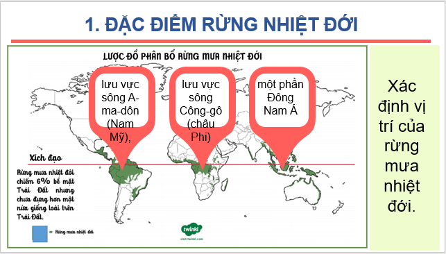 Giáo án điện tử Địa Lí 6 Kết nối tri thức Bài 24: Rừng nhiệt đới | PPT Địa Lí 6