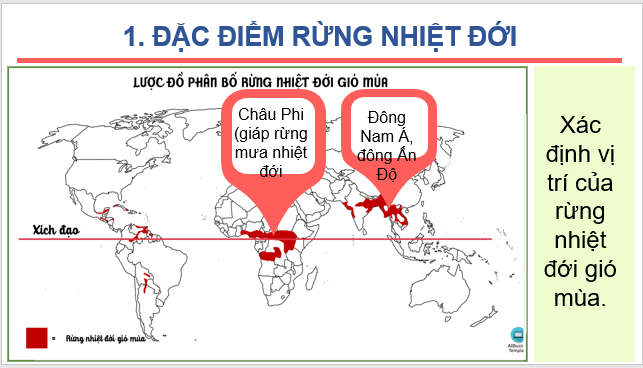 Giáo án điện tử Địa Lí 6 Kết nối tri thức Bài 24: Rừng nhiệt đới | PPT Địa Lí 6