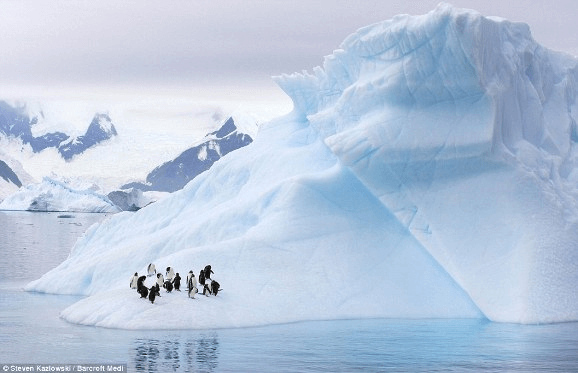 Giáo án Địa Lí 7 Chân trời sáng tạo Bài 22: Vị trí địa lí, lịch sự  khám phá và nghiên cứu châu Nam Cực