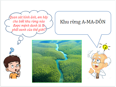 Giáo án điện tử Địa Lí 7 Chân trời sáng tạo Bài 18: Vấn đề khai thác, sử dụng và bảo vệ rừng A-ma-dôn | PPT Địa 7