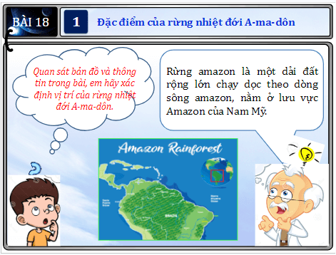 Giáo án điện tử Địa Lí 7 Chân trời sáng tạo Bài 18: Vấn đề khai thác, sử dụng và bảo vệ rừng A-ma-dôn | PPT Địa 7