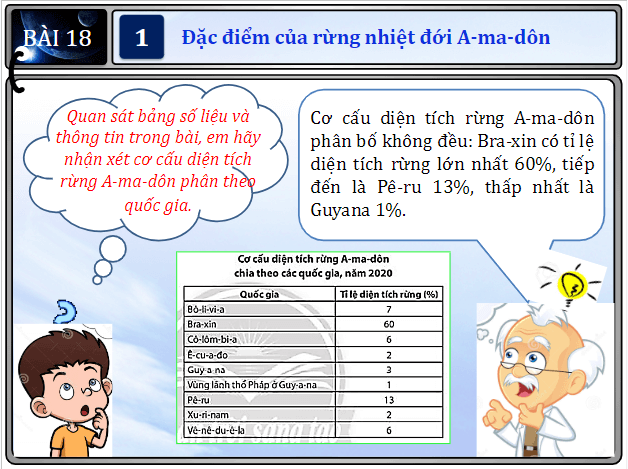 Giáo án điện tử Địa Lí 7 Chân trời sáng tạo Bài 18: Vấn đề khai thác, sử dụng và bảo vệ rừng A-ma-dôn | PPT Địa 7