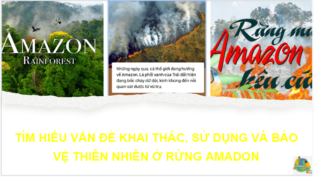 Giáo án điện tử Địa Lí 7 Cánh diều Bài 19: Thực hành: Tìm hiểu vấn đề khai thác, sử dụng và bảo vệ thiên nhiên ở rừng A-ma-dôn | PPT Địa 7