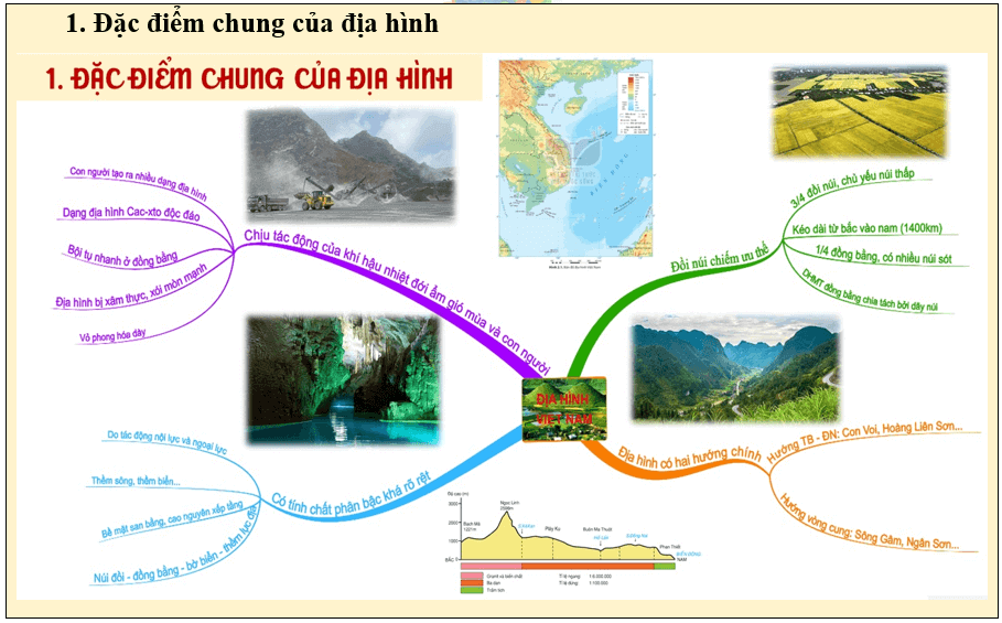 Giáo án Địa Lí 8 Kết nối tri thức Bài 2: Địa hình Việt Nam