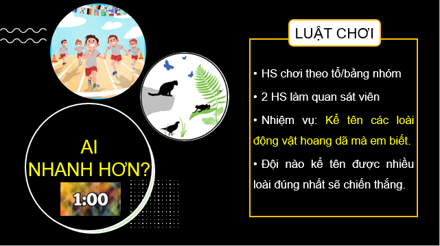 Giáo án điện tử Địa Lí 8 Cánh diều Bài 10: Đặc điểm chung của sinh vật và vấn để bảo tồn đa dạng sinh học ở Việt Nam | PPT Địa 8