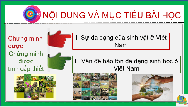 Giáo án điện tử Địa Lí 8 Cánh diều Bài 10: Đặc điểm chung của sinh vật và vấn để bảo tồn đa dạng sinh học ở Việt Nam | PPT Địa 8