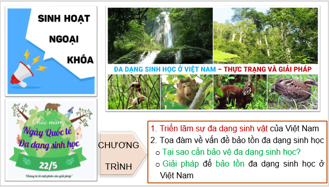 Giáo án điện tử Địa Lí 8 Cánh diều Bài 10: Đặc điểm chung của sinh vật và vấn để bảo tồn đa dạng sinh học ở Việt Nam | PPT Địa 8