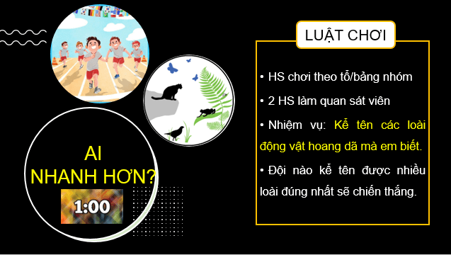 Giáo án điện tử Địa Lí 8 Kết nối tri thức Bài 10: Sinh vật Việt Nam | PPT Địa 8