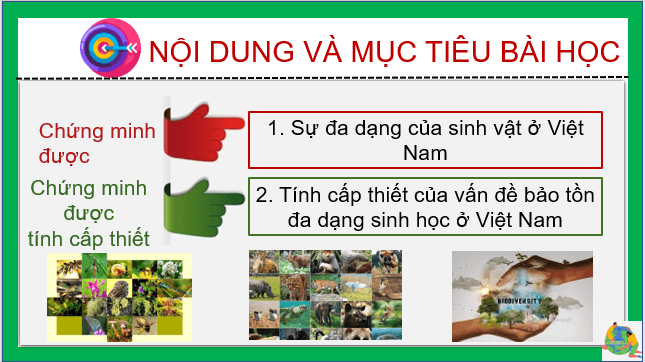 Giáo án điện tử Địa Lí 8 Kết nối tri thức Bài 10: Sinh vật Việt Nam | PPT Địa 8