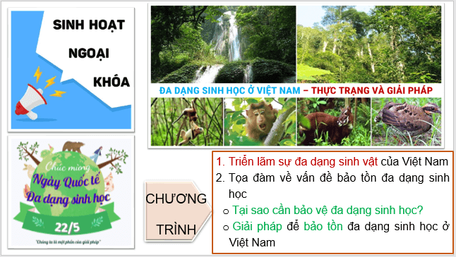 Giáo án điện tử Địa Lí 8 Kết nối tri thức Bài 10: Sinh vật Việt Nam | PPT Địa 8