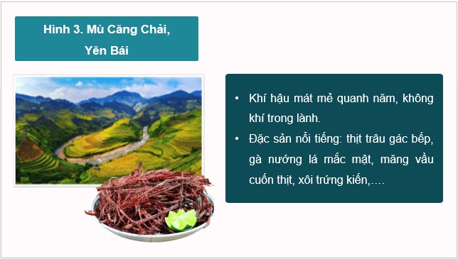 Giáo án điện tử Địa Lí 8 Chân trời sáng tạo Bài 10: Vai trò của tài nguyên khí hậu và tài nguyên nước | PPT Địa 8