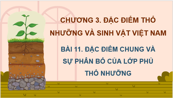 Giáo án điện tử Địa Lí 8 Chân trời sáng tạo Bài 11: Đặc điểm chung và sự phân bố của lớp phủ thổ nhưỡng | PPT Địa 8