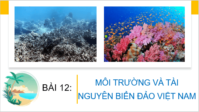 Giáo án điện tử Địa Lí 8 Cánh diều Bài 12: Môi trường và tài nguyên biển đảo Việt Nam | PPT Địa 8