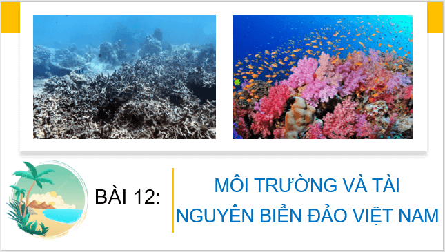 Giáo án điện tử Địa Lí 8 Kết nối tri thức Bài 12: Môi trường và tài nguyên thiên nhiên biển đảo Việt Nam | PPT Địa 8