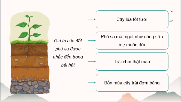 Giáo án điện tử Địa Lí 8 Chân trời sáng tạo Bài 12: Sử dụng hợp lí tài nguyên đất | PPT Địa 8