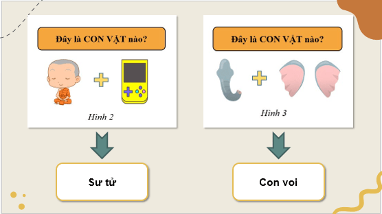 Giáo án điện tử Địa Lí 8 Chân trời sáng tạo Bài 13: Đặc điểm của sinh vật và vấn đề bảo tồn đa dạng sinh học | PPT Địa 8