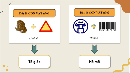 Giáo án điện tử Địa Lí 8 Chân trời sáng tạo Bài 13: Đặc điểm của sinh vật và vấn đề bảo tồn đa dạng sinh học | PPT Địa 8