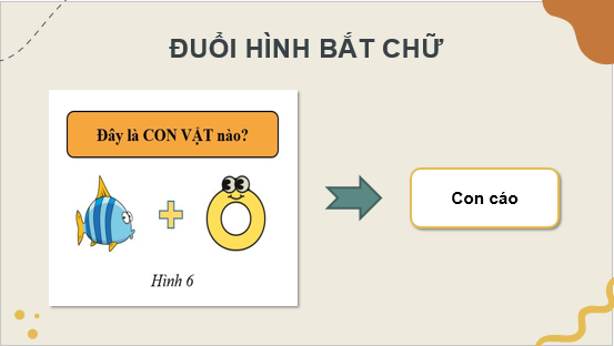 Giáo án điện tử Địa Lí 8 Chân trời sáng tạo Bài 13: Đặc điểm của sinh vật và vấn đề bảo tồn đa dạng sinh học | PPT Địa 8