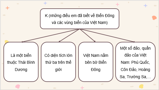 Giáo án điện tử Địa Lí 8 Chân trời sáng tạo Bài 14: Vị trí địa lí Biển Đông, các vùng biển của Việt Nam | PPT Địa 8