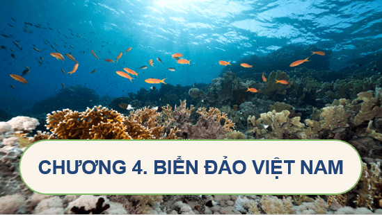 Giáo án điện tử Địa Lí 8 Chân trời sáng tạo Bài 14: Vị trí địa lí Biển Đông, các vùng biển của Việt Nam | PPT Địa 8