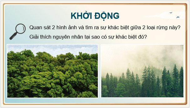 Giáo án điện tử Địa Lí 8 Chân trời sáng tạo Bài 3: Ảnh hưởng của địa hình đối với sự phân hoá tự nhiên và khai thác kinh tế | PPT Địa 8