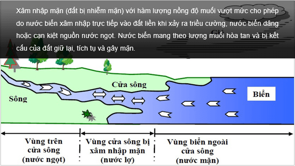 Giáo án điện tử Địa Lí 8 Chân trời sáng tạo Bài 9: Tác động của biến đổi khí hậu đối với khí hậu và thủy văn Việt Nam | PPT Địa 8