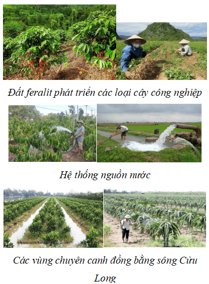 Giáo án Địa Lí 9 Kết nối tri thức Bài 5: Nông nghiệp