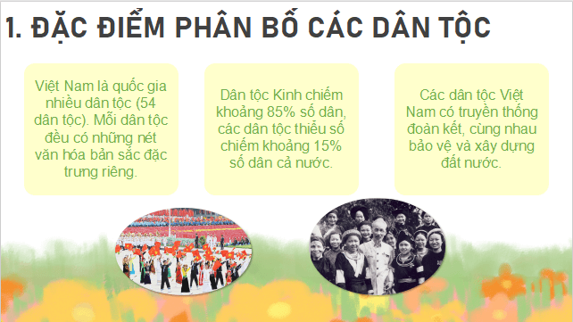 Giáo án điện tử Địa Lí 9 Cánh diều Bài 1: Dân tộc, gia tăng dân số và cơ cấu dân số | PPT Địa 9