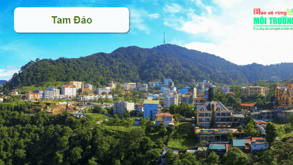 Giáo án điện tử Địa Lí 9 Chân trời sáng tạo Bài 10: Thực hành: Vẽ sơ đồ thể hiện các thế mạnh về tư nhiên để phát triển kinh tế – xã hội của vùng Trung du và miền núi Bắc Bộ | PPT Địa 9