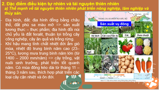 Giáo án điện tử Địa Lí 9 Chân trời sáng tạo Bài 11: Vùng Đồng bằng sông Hồng | PPT Địa 9