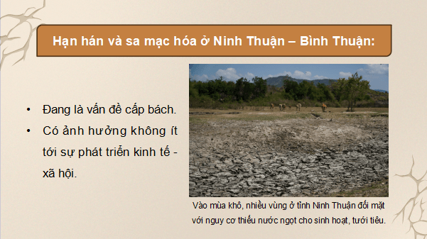 Giáo án điện tử Địa Lí 9 Cánh diều Bài 14: Thực hành: Phân tích ảnh hưởng của nạn hạn hán và sa mạc hoá ở vùng khô hạn Ninh Thuận - Bình Thuận | PPT Địa 9