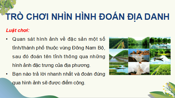 Giáo án điện tử Địa Lí 9 Kết nối tri thức Bài 20: Vùng Đồng bằng sông Cửu Long | PPT Địa 9