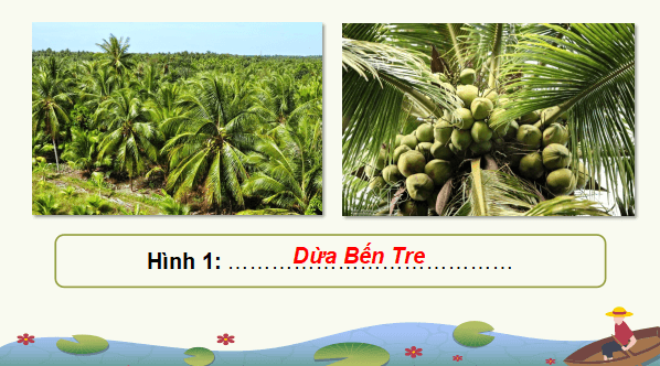 Giáo án điện tử Địa Lí 9 Kết nối tri thức Bài 20: Vùng Đồng bằng sông Cửu Long | PPT Địa 9