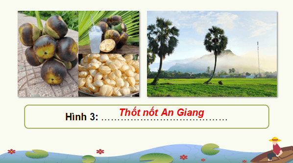 Giáo án điện tử Địa Lí 9 Kết nối tri thức Bài 20: Vùng Đồng bằng sông Cửu Long | PPT Địa 9