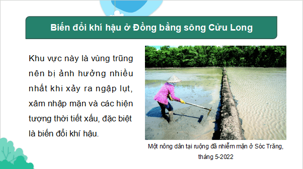 Giáo án điện tử Địa Lí 9 Kết nối tri thức Bài 21: Thực hành: Tìm hiểu về tác động của biến đổi khí hậu đối với Đồng bằng sông Cửu Long | PPT Địa 9