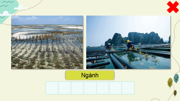 Giáo án điện tử Địa Lí 9 Cánh diều Bài 4: Nông nghiệp, lâm nghiệp, thuỷ sản | PPT Địa 9