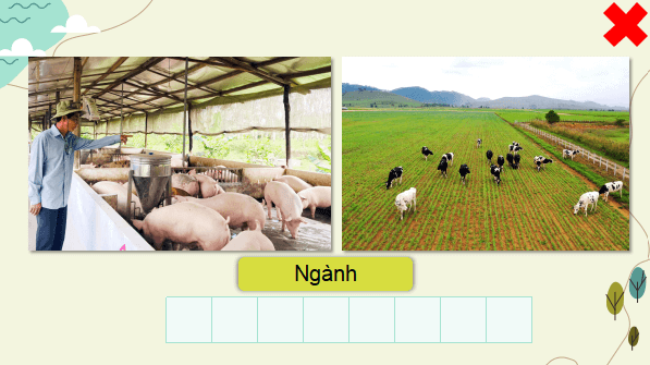 Giáo án điện tử Địa Lí 9 Cánh diều Bài 4: Nông nghiệp, lâm nghiệp, thuỷ sản | PPT Địa 9